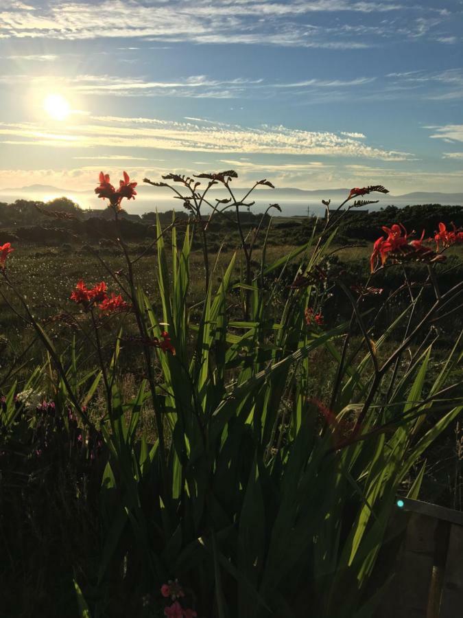 Atlantic Breeze Bed & Breakfast Rossnowlagh Dış mekan fotoğraf